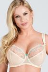 Comprar sujetador tallas grandes (70 artículos)