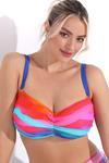 Bikinis sin tirantes tallas grandes(15 artículos)