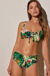 Bikini tallas grandes (50 artículos)