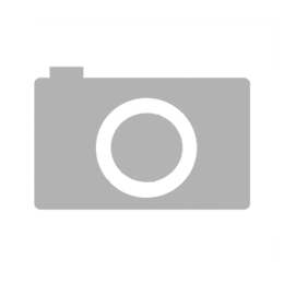 sujetadores juveniles en tallas grandes (45 artículos)