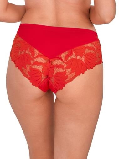 Bragas altas en tallas grandes (50 artículos)