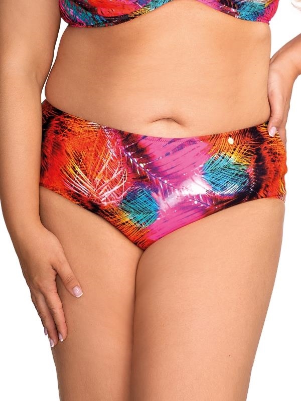 Bragas de bikinis altas (50 artículos) 
