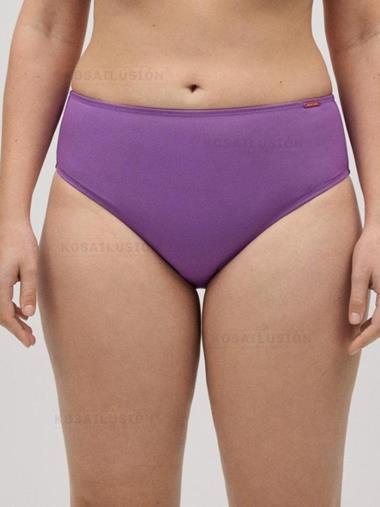 Bragas de bikini altas tipo reductoras ( 30 artículos)