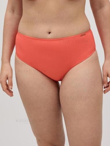 Bragas de bikini altas tipo reductoras ( 30 artículos)